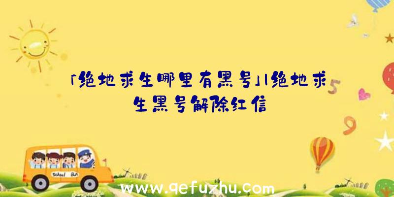 「绝地求生哪里有黑号」|绝地求生黑号解除红信